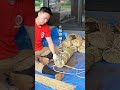 【大相撲横手場所 俵作り】2026年8月14日開催|IRISOアリーナ横手|秋田県横手市公式|#yokote