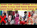 Josin Bonee Vidoo Dawali Dubarti Iti Agarsise Ofii Ajeftee Ulfaa Ufiraa Basii Wayoo 