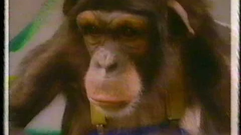 MONKEY MAN - ROBIN DIAMONDZ