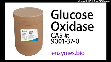 Glucose Oxidase Enzyme Suppliers CAS 9001-37-0