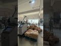 Palletizing, Bag Opening &amp; Unloading Test Completed Successfully | Factory Automation Demo