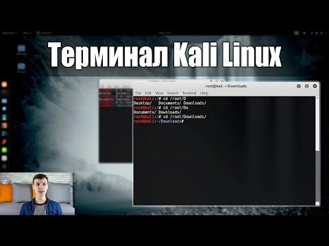 Terminal в Kali Linux - Как пользоваться? | Путь хакера | UnderMind