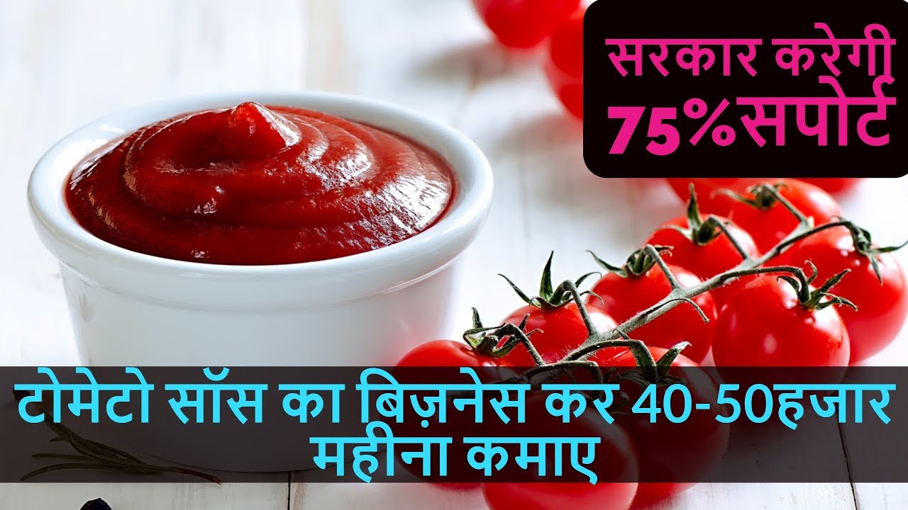 tomato sauce business plan in hindi