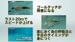 背泳ぎスピードアップ・プログラム【北京オリンピック200m背泳ぎ代表　中野高　監修】DVD2枚組