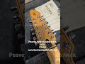 Peavey Hydra Double Neck USA $2699 www.backyardguitatsfl.com#peaveyusa #peaveyguitars #fyp