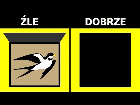 Wideo: Jak Leczyć Ptaki