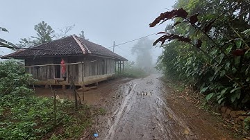 Hidup di desa, Menginap di Rumah Warga Saat Hujan Serta Melihat Aktivitas Sehari Hari di Kampung