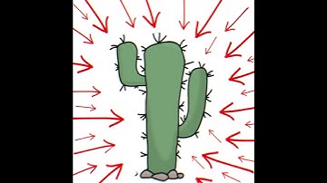 Tree Hugger | Capcut Edit #fypシ #shorts