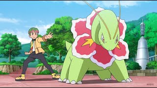 Every Meganium in the Pokemon Anime