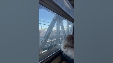 Thumbnail of NEW YORK CITY TRAIN TO BROOKLYN! #music