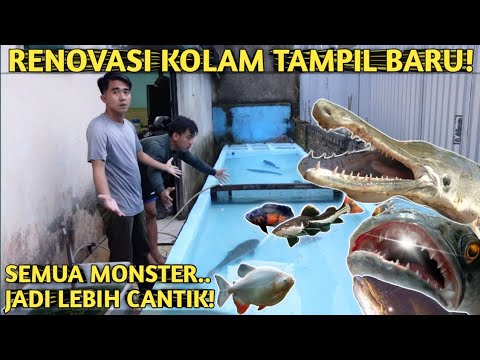 Ikan Je