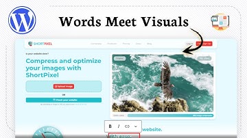 Hoe voeg je bijschriften toe aan afbeeldingen in WordPress (Photo Insight)