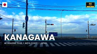 4K Walk Through Rural Japan | Hilltop Village to Ocean — Kanagawa's Secret Coast 🇯🇵