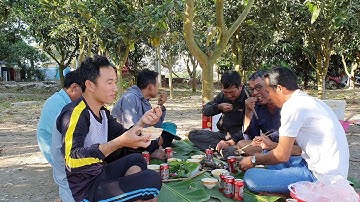 Thăm Lợp Cá Lóc Trong Vườn Cam Và Lai Rai Món Cá Nướng Cùng Ông Chủ Vườn.Góc Làng Quê #115