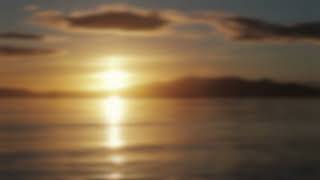 3-Minute Mindfulness Practice | A Simple Pause for Calm | Pause With Me