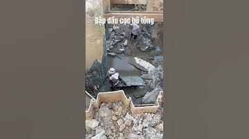 Đập đầu cọc bê tông