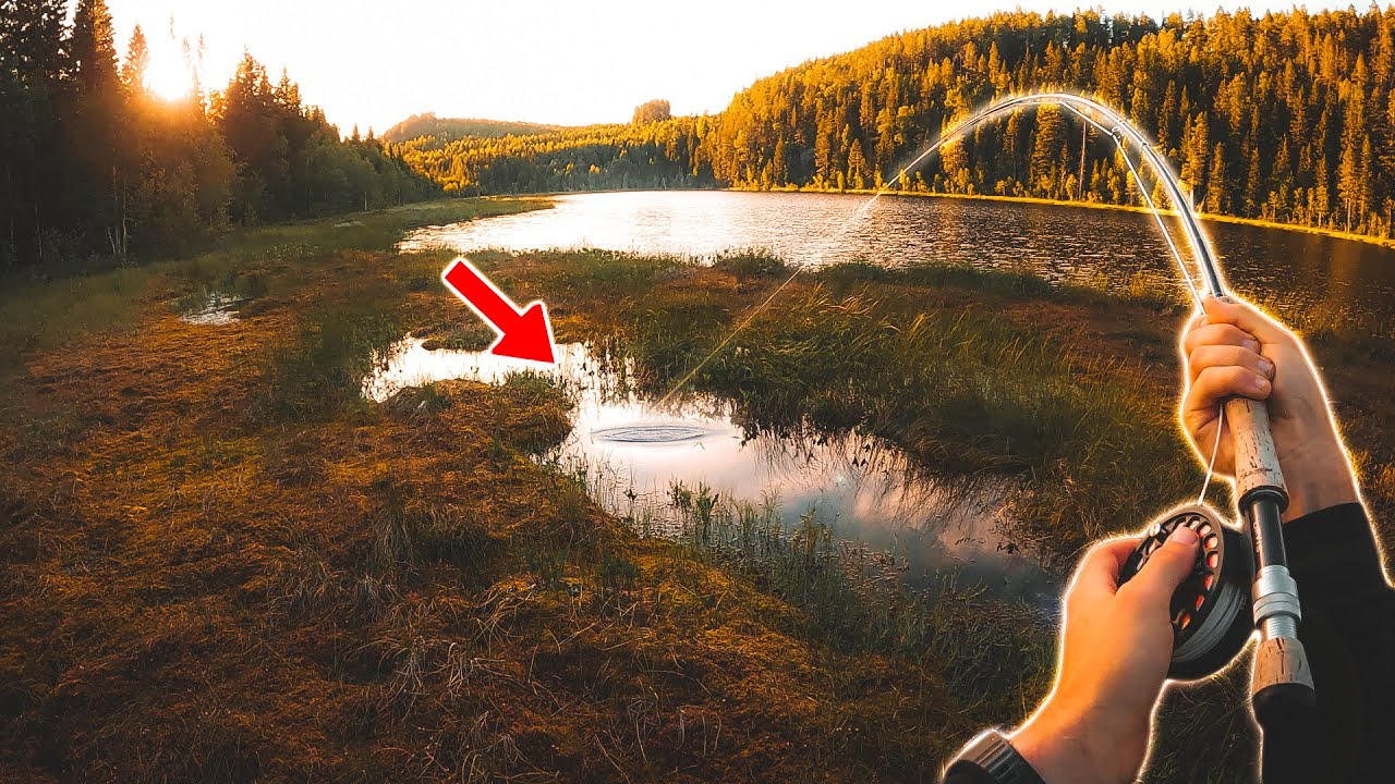FLUGFISKE efter ÖRING i liten tjärn (Sjukaste flugfisket)