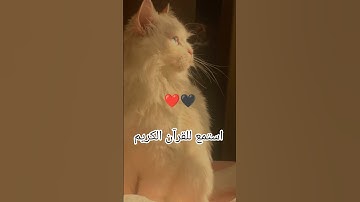 اكتب شيء تؤجر عليه يوم القيامة 😴🤍 #آيات_الرحمة #المصحف #اللهم_صل_على_محمد_وال_محمد #قران_كريم