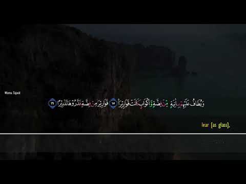       سورة الإنسان امام فيصل