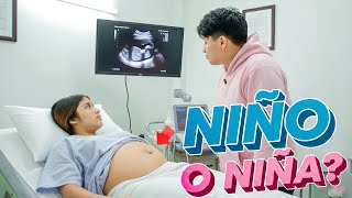 THE WAIT IS OVER. BOY OR GIRL? | AlexD