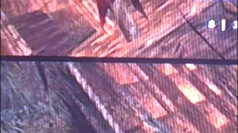 Shi No Numa Glitch Instant Death