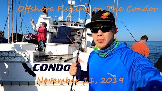 Condor Sportfishing - Offshore Yellowfin, Skipjack, and Yellowtail / Veterans Day 2019