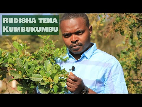 Video: Jinsi Ya Kurekebisha Kumbukumbu Iliyoharibiwa