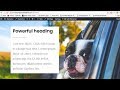 Create Services Page in WordPress - #23