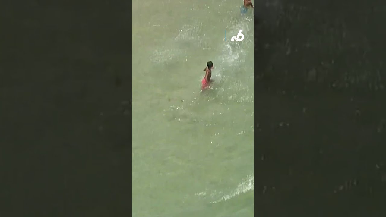 Shark spotted near swimmers in Florida