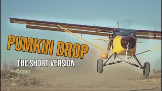 PUMPKIN DROP trailer smash! + How Bugs built his own Airstrip.