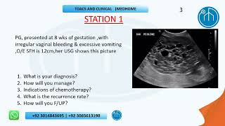 IMM TOACS OCTOBER 2025 PAPER 