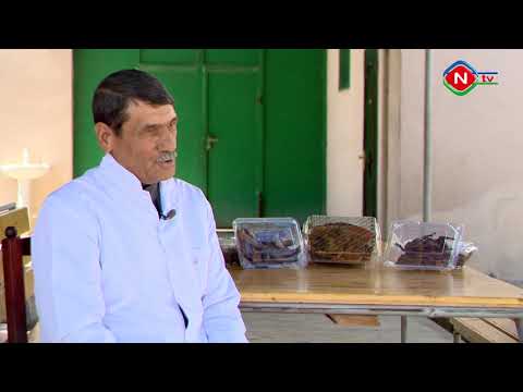 Video: Qaban Balığı Necə Görünür?