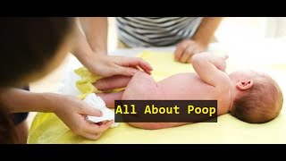 All About Poop