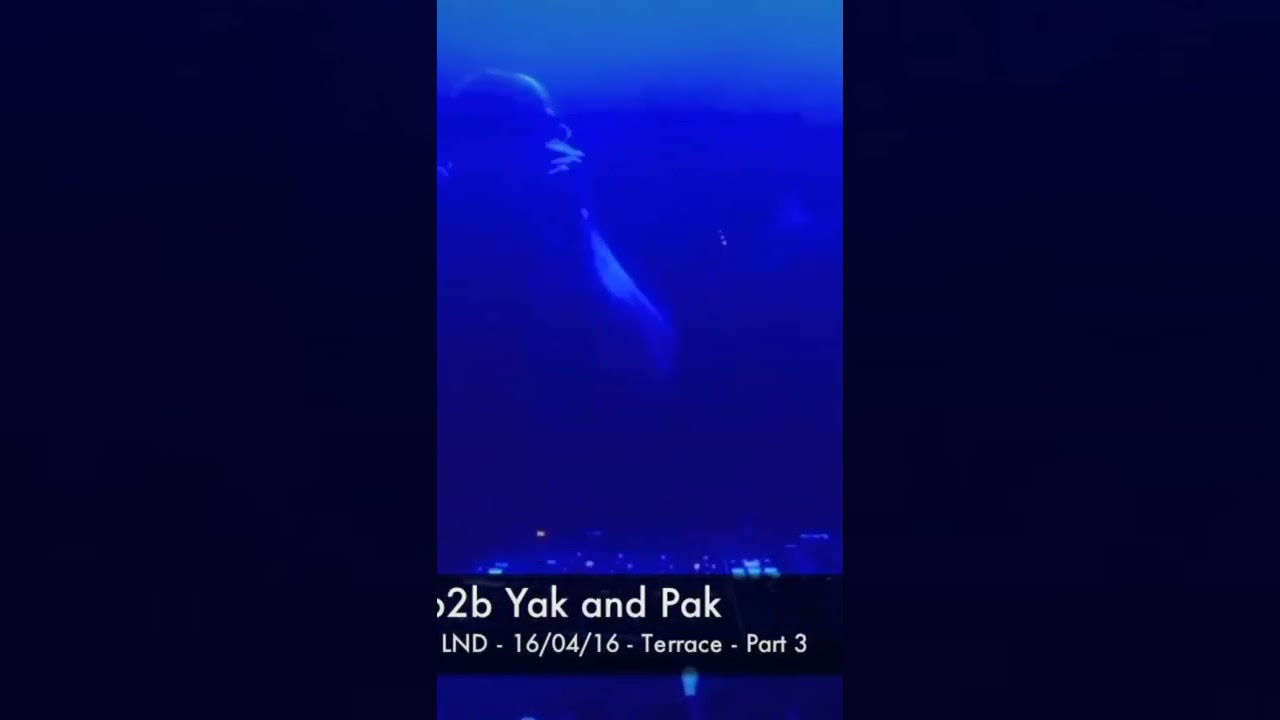 Yak and Pak @ Egg London