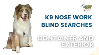 K9 Nose Work, Blind Container Searches and an Outdoor Search