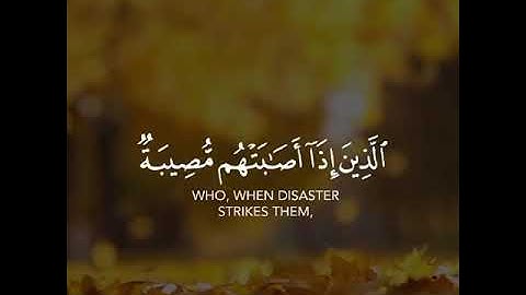 القارئ الشيخ ياسر الدوسري وبشر الصابرين تلاوة خاشعه حالات واتساب اسلاميه❤❤❤