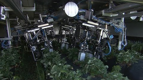 Artificial intelligence could revolutionize farming industry