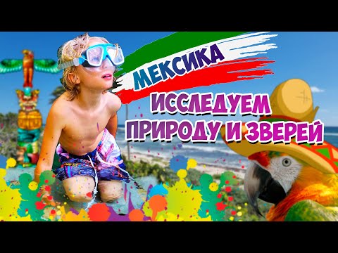 Природа Мексики -