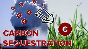 What if Carbon Sequestration Became the New Normal?