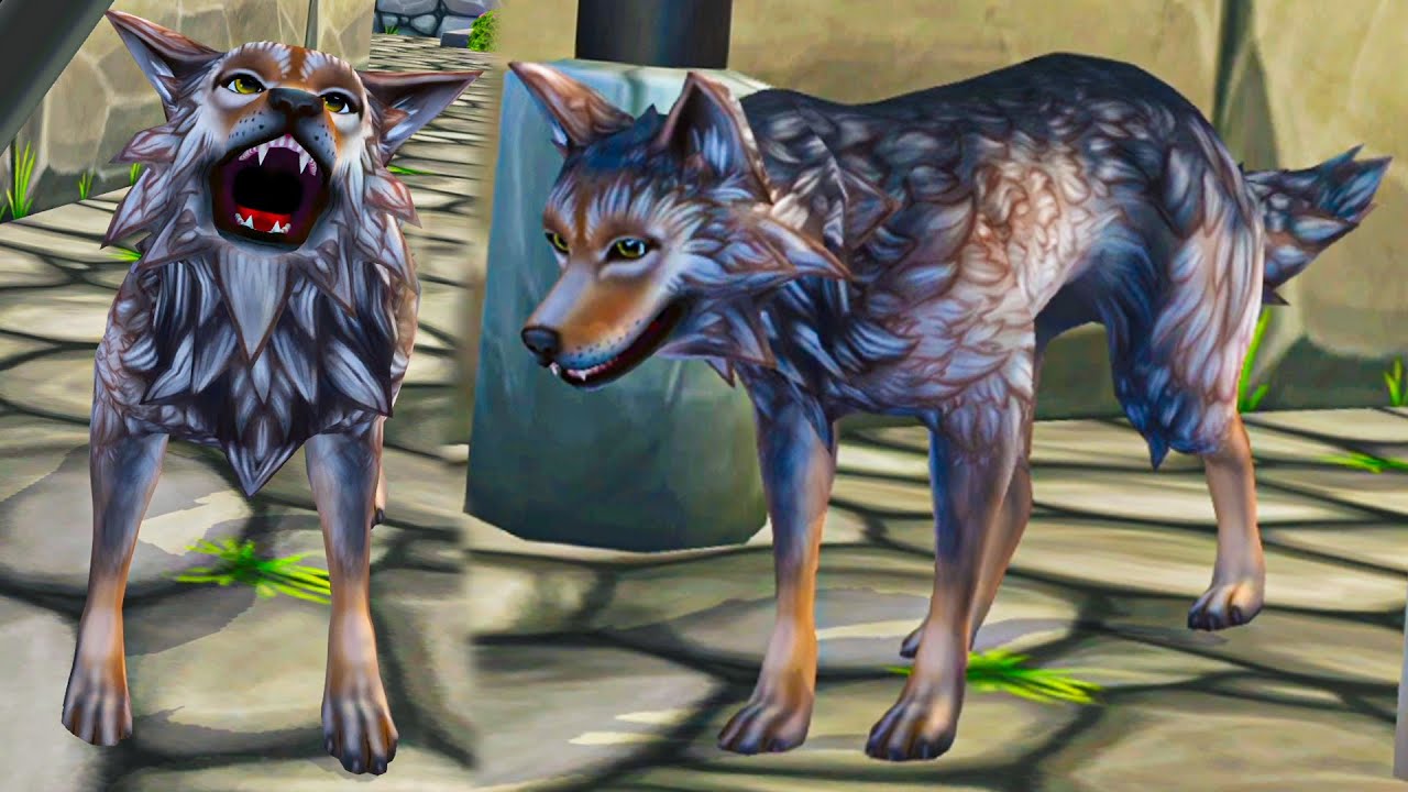 The City New Star Stable Quest