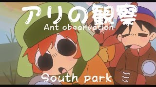 アリの観察2010/Ant observation | South park [PV]