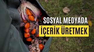 Sosyal Medyada İçerik Üretmek Hatalarım Ve Öğrendiklerim Neler? Soru-Cevap