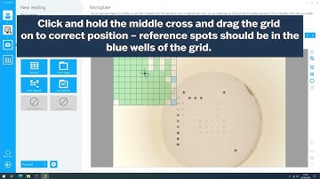 Microblot-Array - Software Evaluation (TestLine)