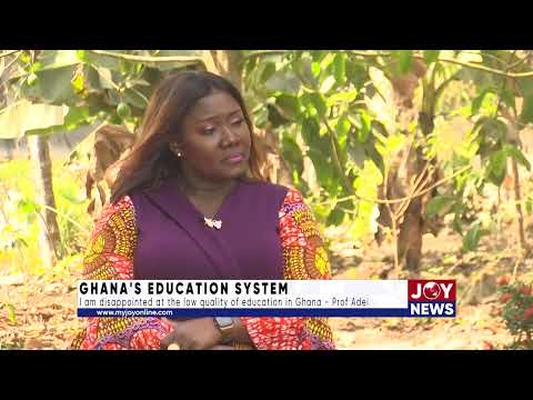 Ghana's education system: I am disappointed at the low quality of education in Ghana. - Prof Adei