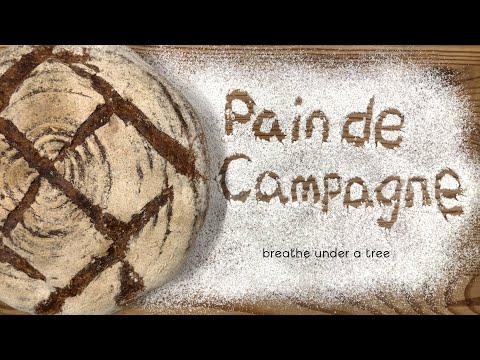 호밀 20% 깜빠뉴(시골빵)_풀리쉬 | Pain de campagne / Country French bread(20% Rye flour) | Breathe under A tree