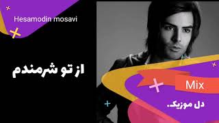 Hesamoodin Musavi Best Song حسام الدین موسوی