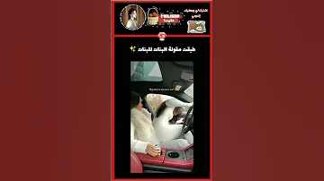 طبقت مقولة البنات للبنات الي يبغى الفيديو مترجم رح أنزله قريب Subscribe Pov اكسبلور Fact 