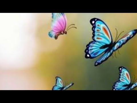 با اهلا بالناس الحلوة