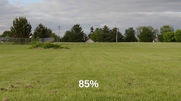 Protos Max V2 maiden hover