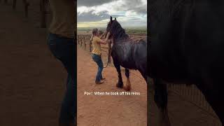 Dramatic American Horses Pulling The Dumbest Moves#HorseMemesUS #FunnyRanchLife